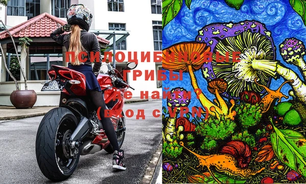 молекула духа Нея