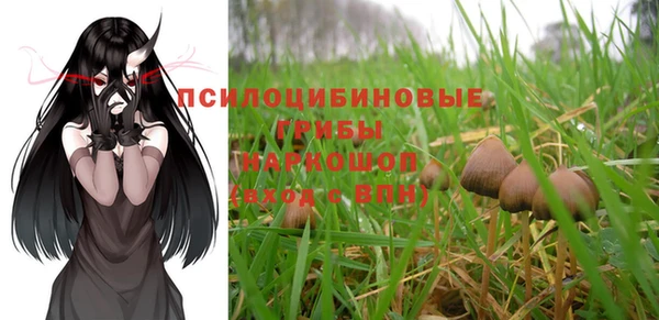 Альфа ПВП Арсеньев